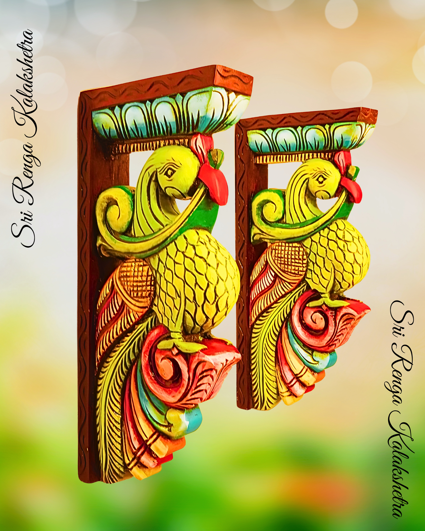 𝐏𝐚𝐫𝐫𝐨𝐭 𝐌𝐨𝐭𝐢𝐟𝐟 𝐖𝐚𝐥𝐥 𝐁𝐫𝐚𝐜𝐤𝐞𝐭