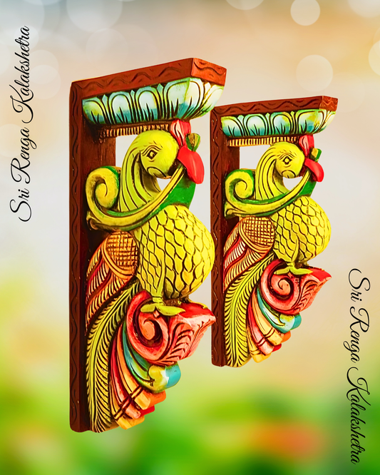 𝐏𝐚𝐫𝐫𝐨𝐭 𝐌𝐨𝐭𝐢𝐟𝐟 𝐖𝐚𝐥𝐥 𝐁𝐫𝐚𝐜𝐤𝐞𝐭